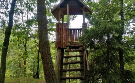 Apžvalgos bokštelis Girinio take.jpg